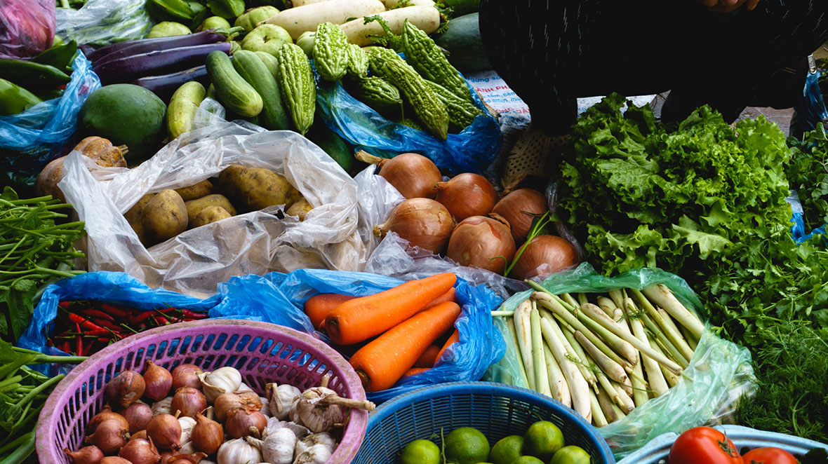 Shepherd's pantry Community Garden