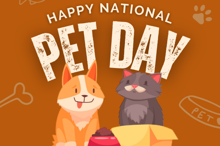 Brown Modern National Pet Day Instagram Post